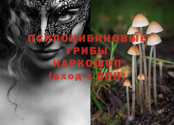ALPHA PVP Армянск