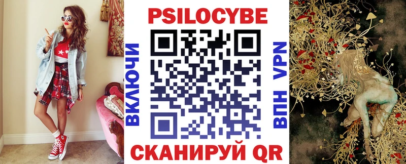 дарк нет телеграм  купить закладку  Соль-Илецк  Галлюциногенные грибы Psilocybine cubensis 